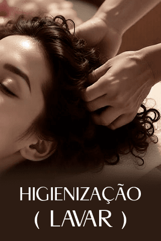 Módulo 4 — Higienização